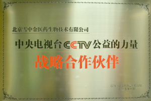 2015年央视cctv 公益的力量 战略合作伙伴